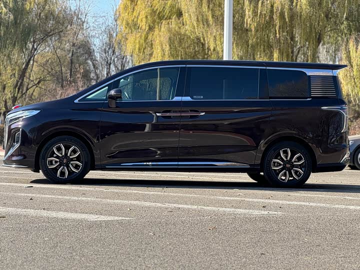 Hongqi HQ9 2023 2023款 2.0T 智联旗享版