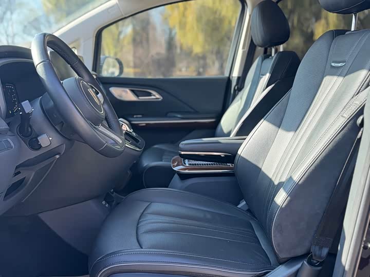 Hongqi HQ9 2023 2023款 2.0T 智联旗享版