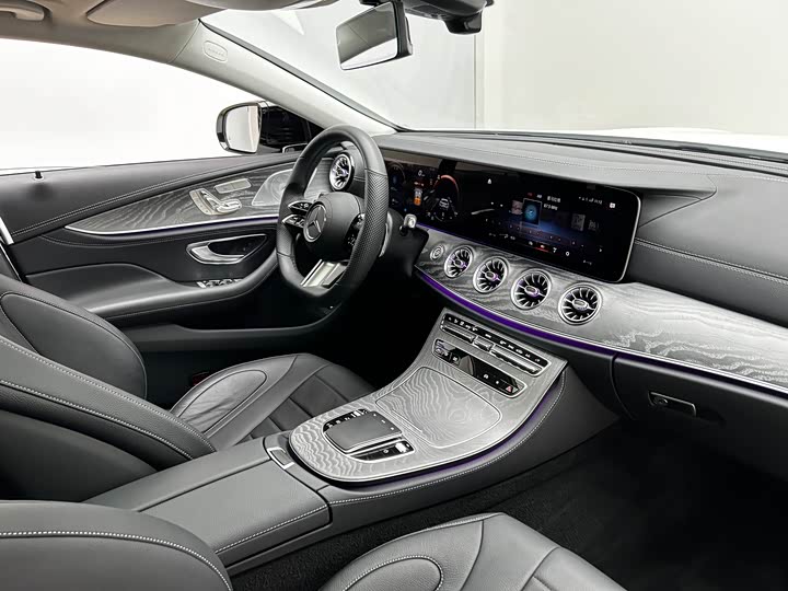 Mercedes-Benz CLS-Class 2023 2023款 改款 CLS 300 动感型