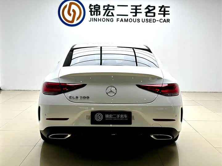 Mercedes-Benz CLS-Class 2023 2023款 改款 CLS 300 动感型
