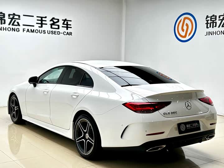 Mercedes-Benz CLS-Class 2023 2023款 改款 CLS 300 动感型