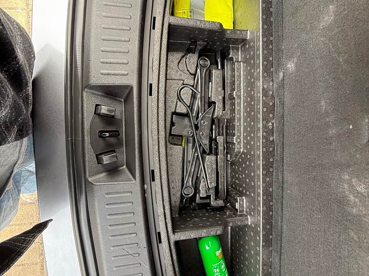 Chery Tiggo 8 Pro 2024 2024款 冠军版 290T 两驱巅峰版 7座