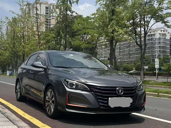 Changan Raeton CC 2021 2021款 蓝鲸版 1.5T DCT精英型