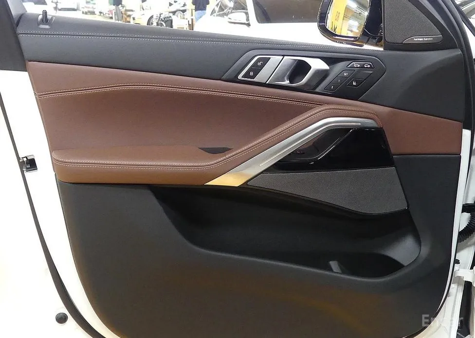 BMW X6 2020 xDrive40d M Sport Online Exclusive