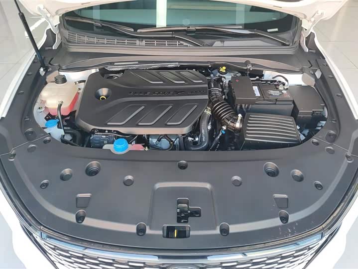 Changan Raeton Plus 2023 2023款 1.5T DCT尊贵型