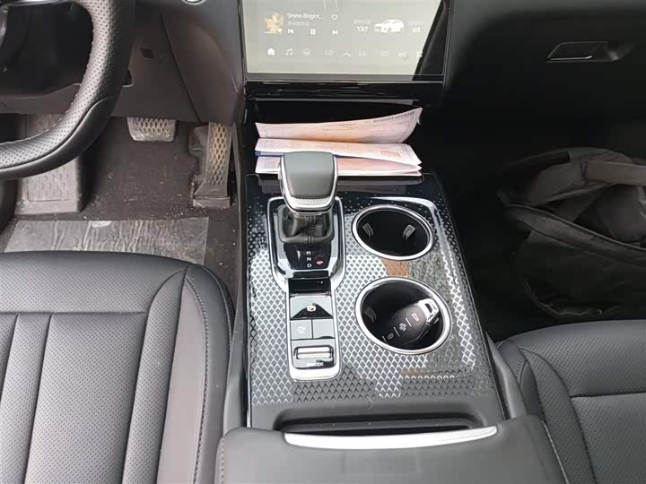 Hongqi HS3 Hybrid 2024 2024款 115km 劲为版