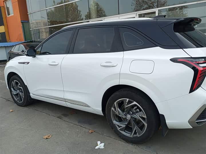 Hongqi HS3 Hybrid 2024 2024款 115km 劲为版