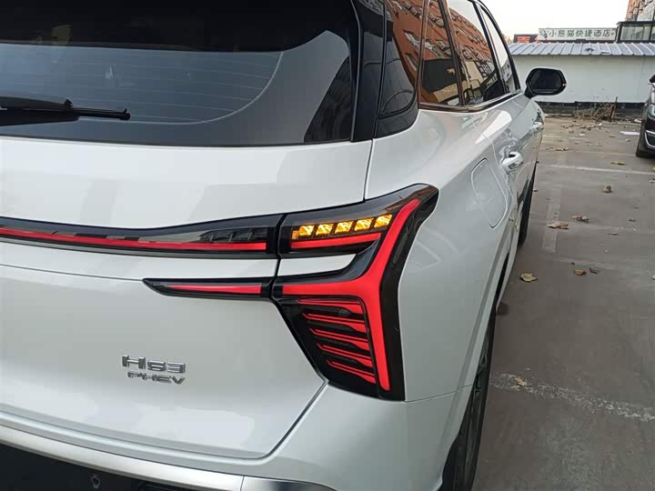 Hongqi HS3 Hybrid 2024 2024款 115km 劲为版