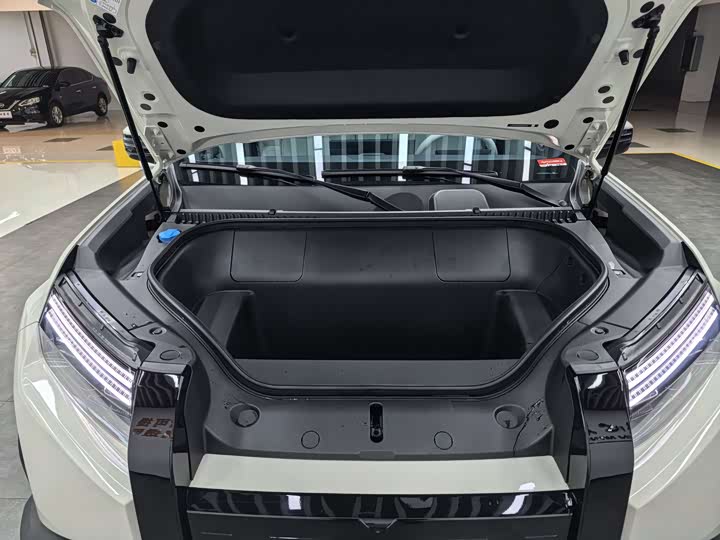 BYD FangChengBao Titanium 3 (Tai 3) 2025 2025款 501KM 后驱Max版