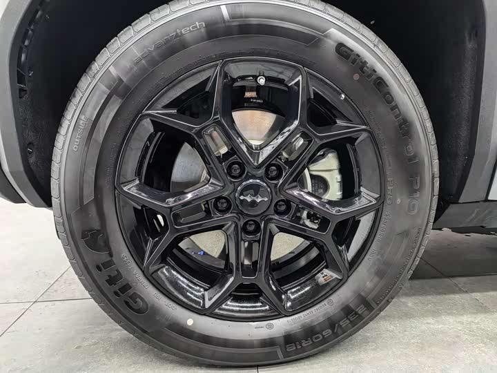 BYD FangChengBao Titanium 3 (Tai 3) 2025 2025款 501KM 后驱Max版