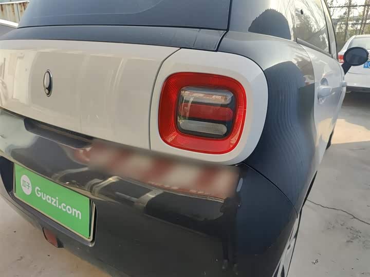 Ora Black Cat 2022 2022款 351km 标准型 三元锂