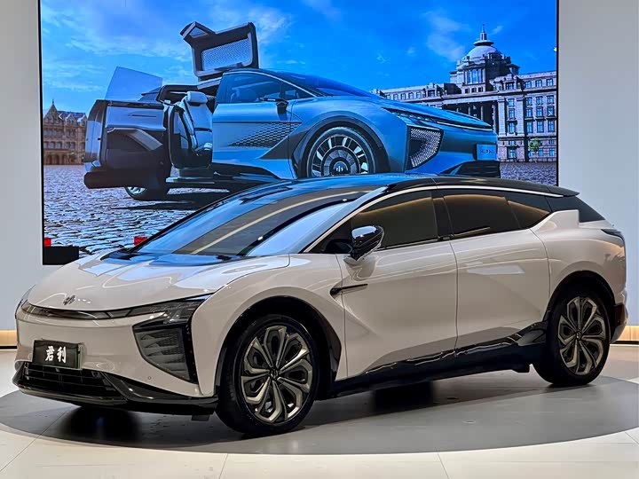 HiPhi X 2021 2021款 创始版6座