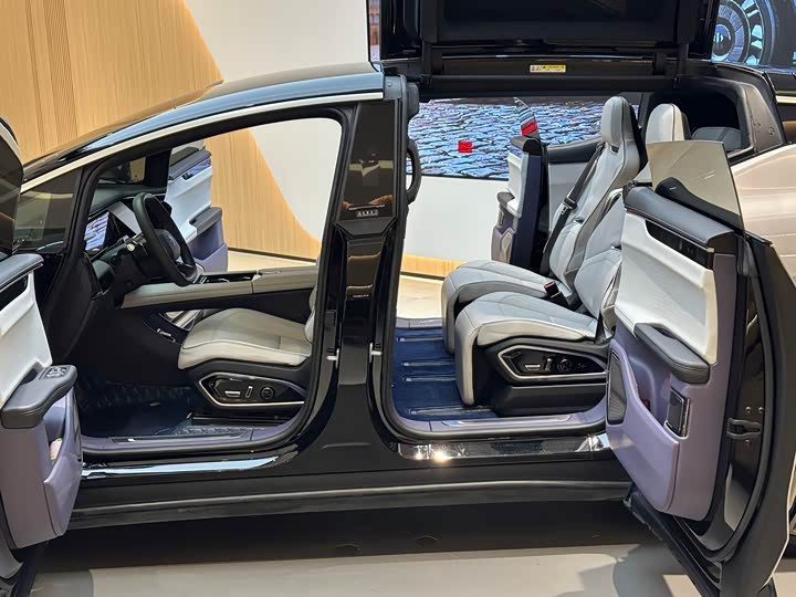 HiPhi X 2021 2021款 创始版6座