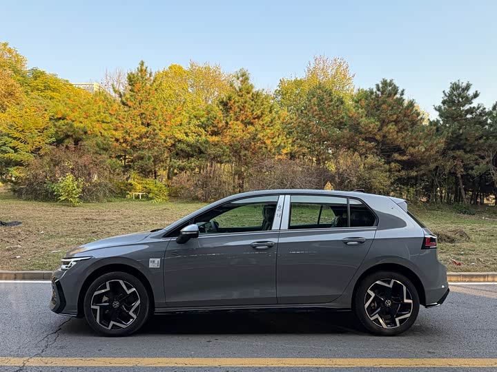 Volkswagen Golf 2025 2025款 改款二 300TSI R-Line