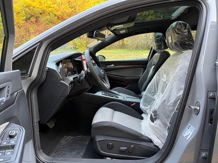 Volkswagen Golf 2025 2025款 改款二 300TSI R-Line