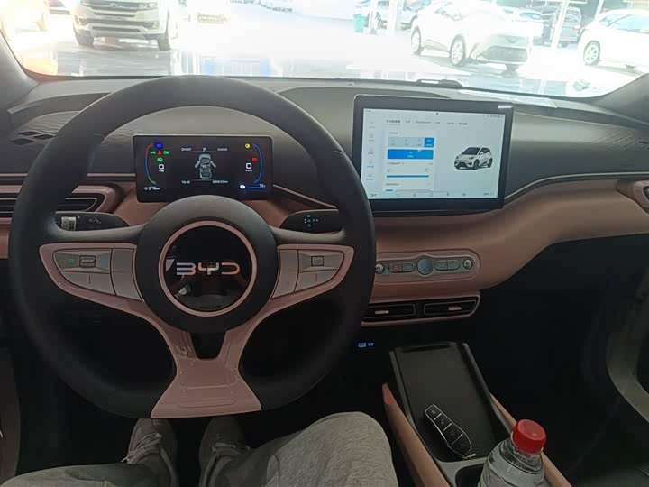 BYD Seagull 2025 2025款 305km 活力版