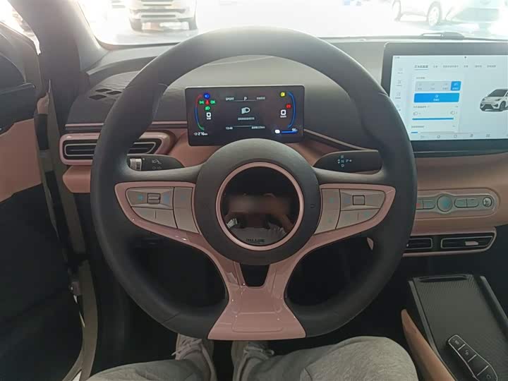 BYD Seagull 2025 2025款 305km 活力版