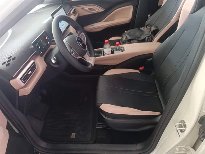 BYD Seagull 2025 2025款 305km 活力版