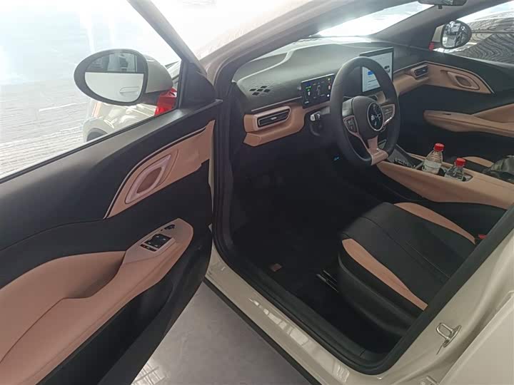 BYD Seagull 2025 2025款 305km 活力版