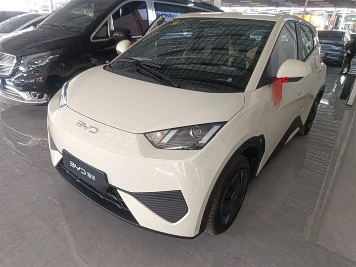 BYD Seagull 2025 2025款 305km 活力版