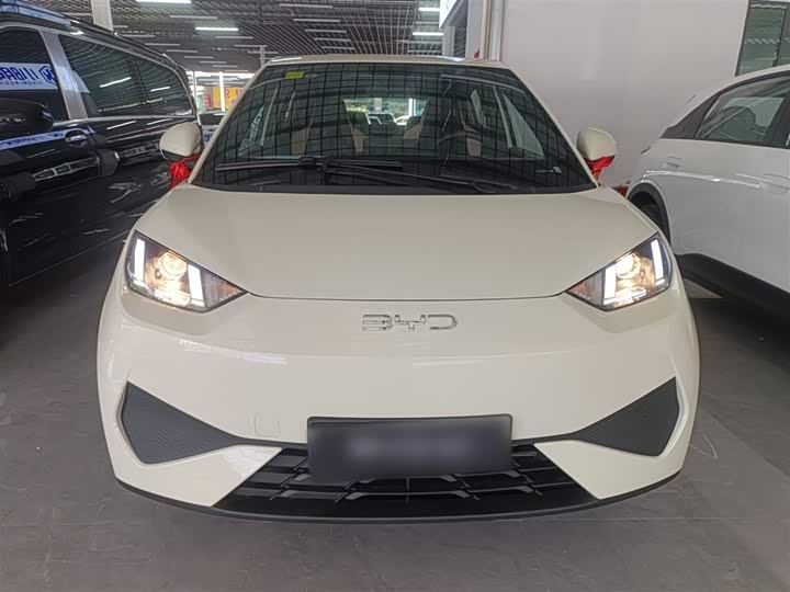 BYD Seagull 2025 2025款 305km 活力版