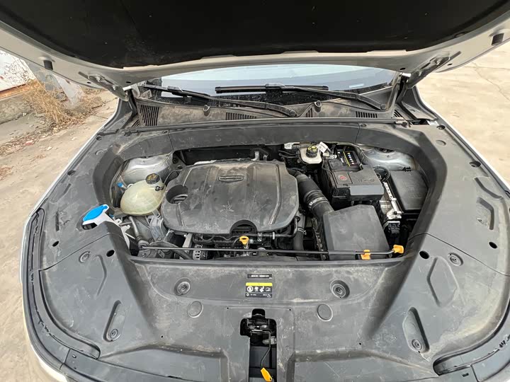 Geely Atlas L 2024 2024款 1.5TD DCT旗舰版