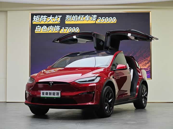 Tesla Model X 2023 2023款 双电机全轮驱动版