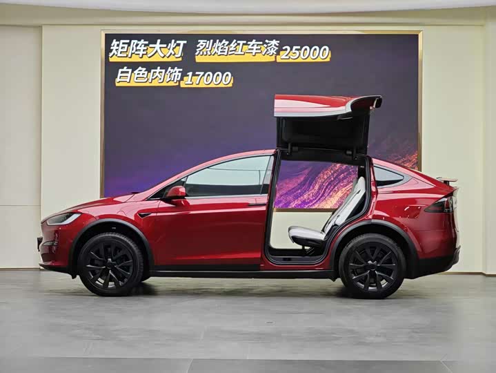 Tesla Model X 2023 2023款 双电机全轮驱动版