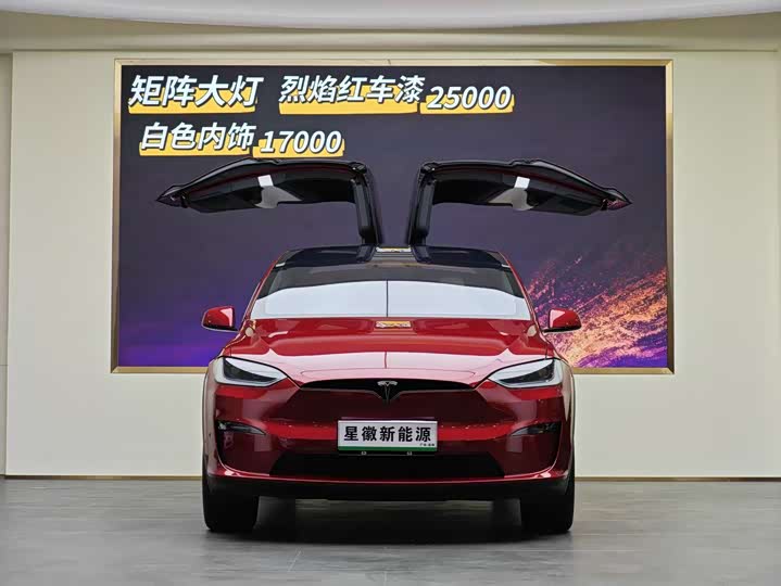 Tesla Model X 2023 2023款 双电机全轮驱动版