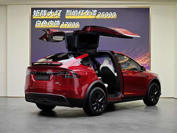 Tesla Model X 2023 2023款 双电机全轮驱动版
