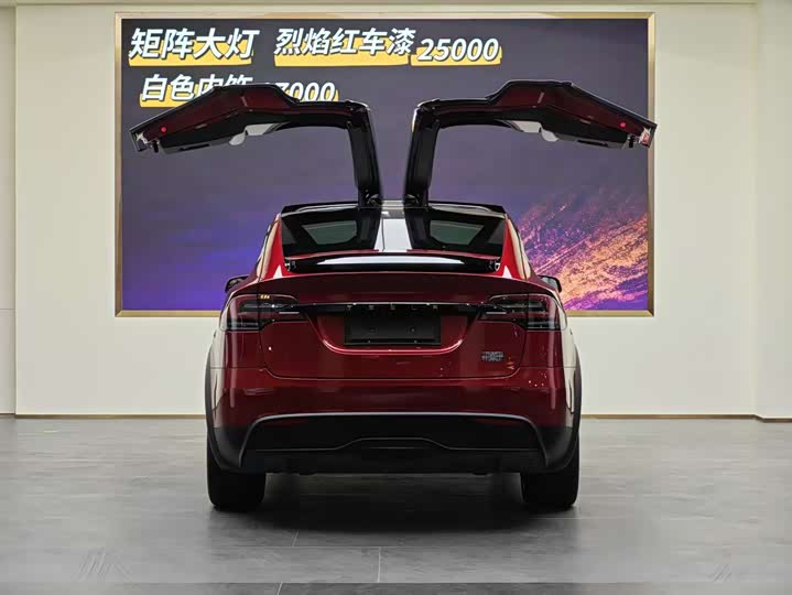 Tesla Model X 2023 2023款 双电机全轮驱动版