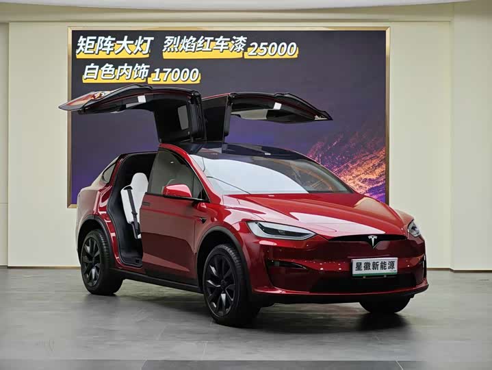 Tesla Model X 2023 2023款 双电机全轮驱动版