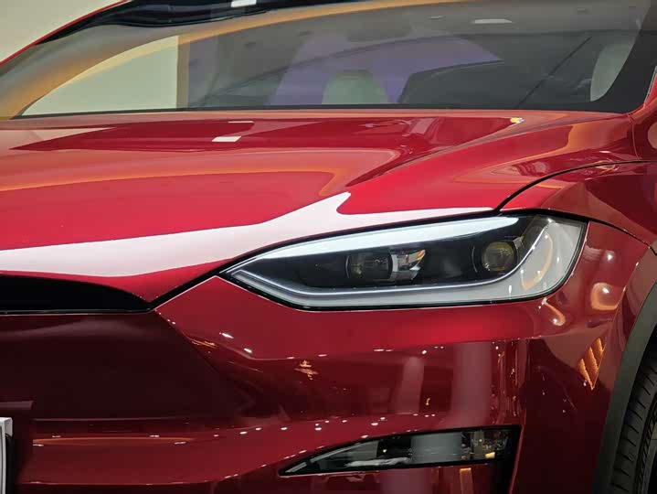 Tesla Model X 2023 2023款 双电机全轮驱动版