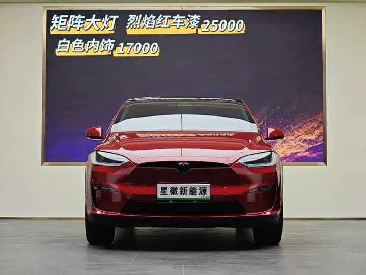 Tesla Model X 2023 2023款 双电机全轮驱动版