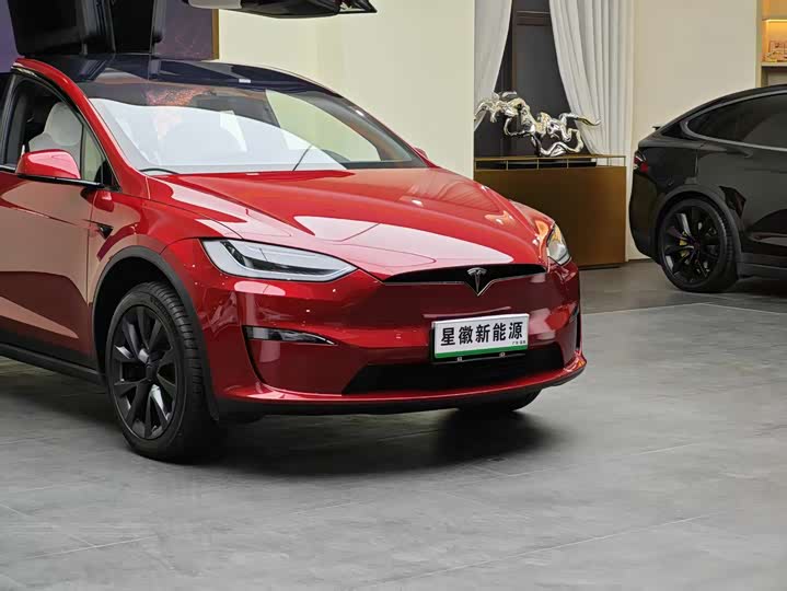 Tesla Model X 2023 2023款 双电机全轮驱动版