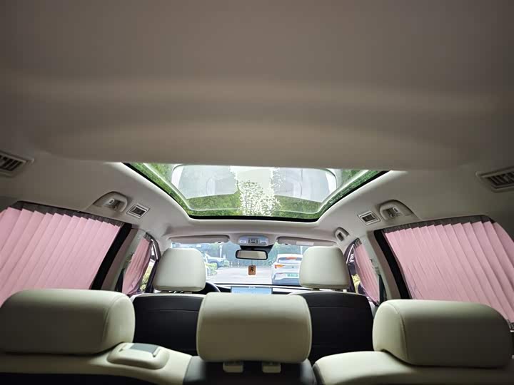 BYD Song Max Hybrid 2022 2022款 DM-i 105KM 旗舰型