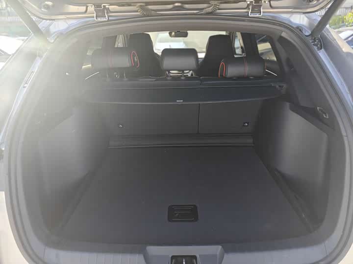 BYD Song Plus 2020 2020款 1.5T 自动旗舰型