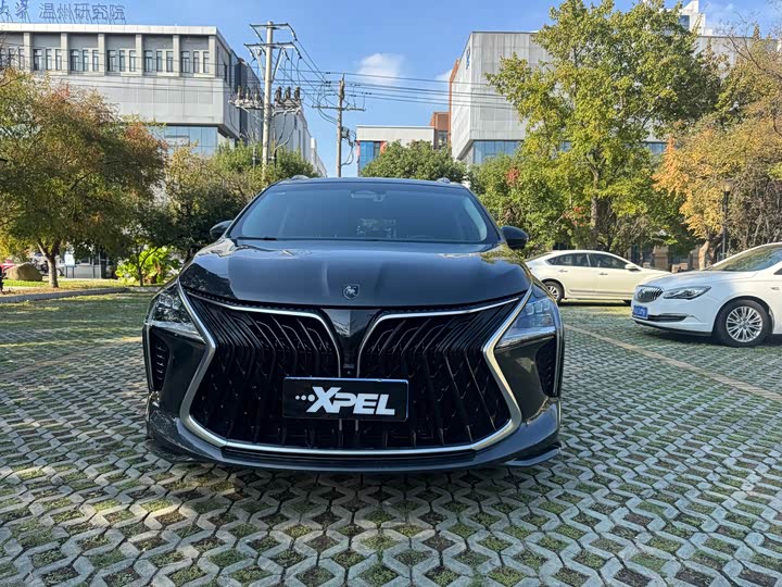 Dongfeng Forthing Yacht 2022 2022款 1.5T DCT逐浪版