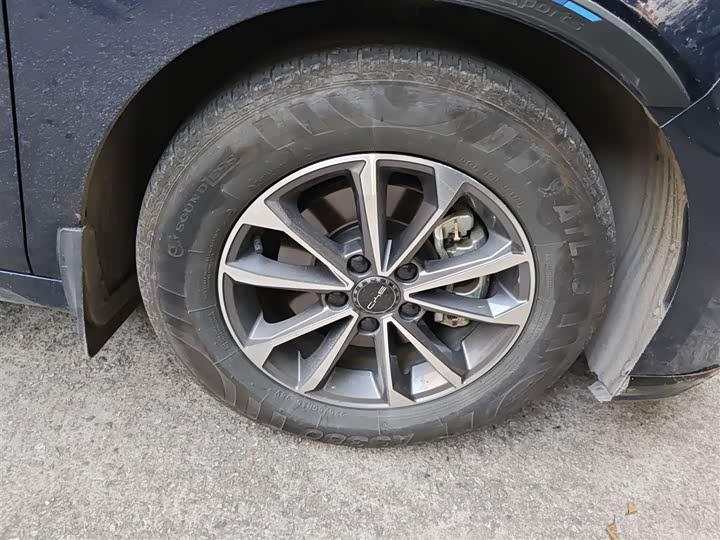 BYD Destroyer 05 2024 2024款 荣耀版 DM-i 55KM 豪华型