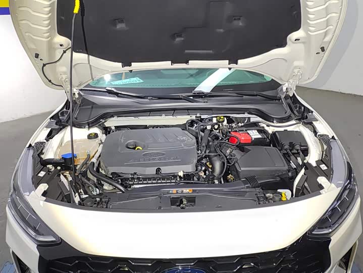 Ford Focus 2022 2022款 三厢 EcoBoost 180 自动竞速版