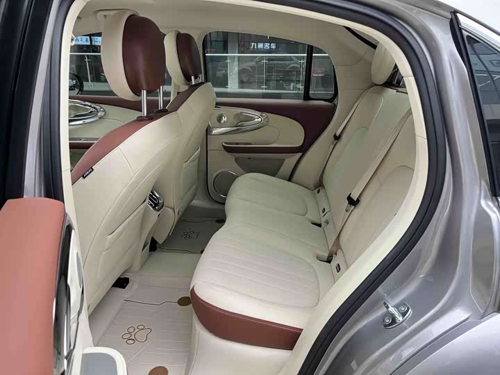 Ora Ballet Cat 2023 2023款 401km 尊贵型