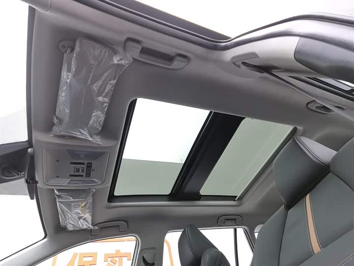 Toyota Wildlander 2024 2024款 双擎 2.5L E-CVT四驱豪华PLUS版