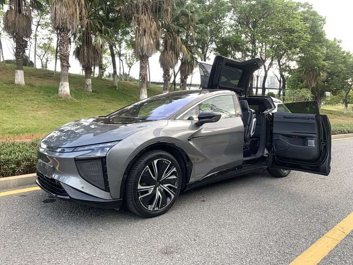 HiPhi X 2021 2021款 豪华版6座