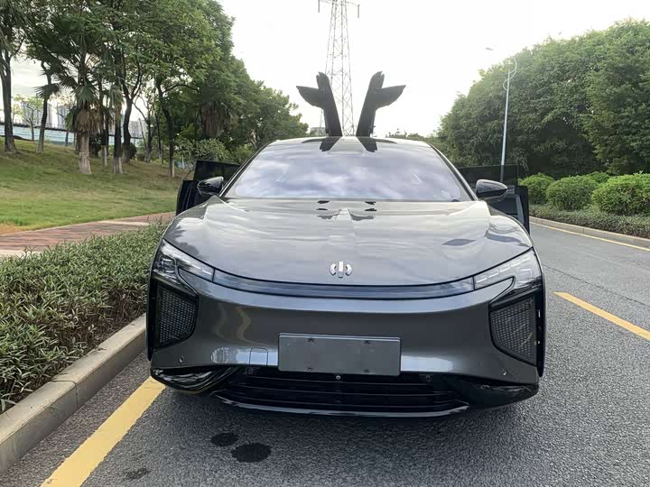 HiPhi X 2021 2021款 豪华版6座