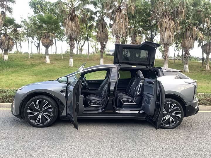 HiPhi X 2021 2021款 豪华版6座