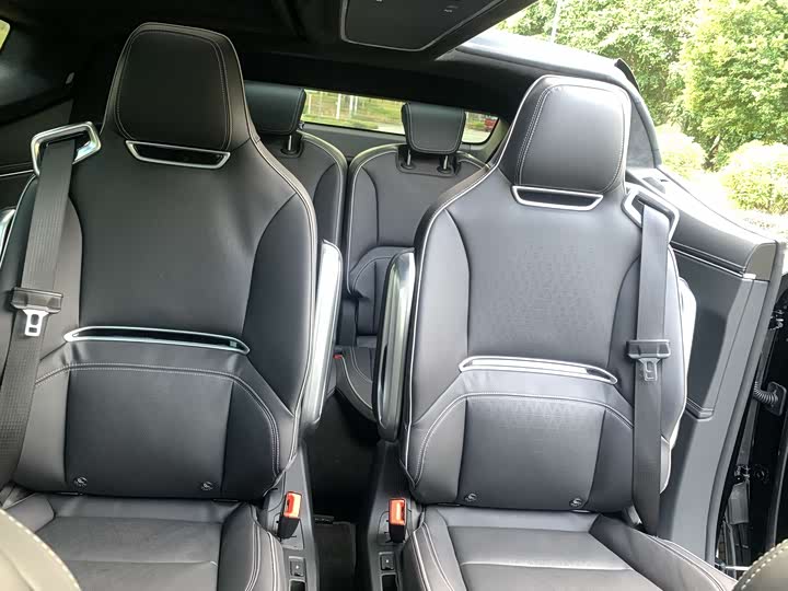 HiPhi X 2021 2021款 豪华版6座