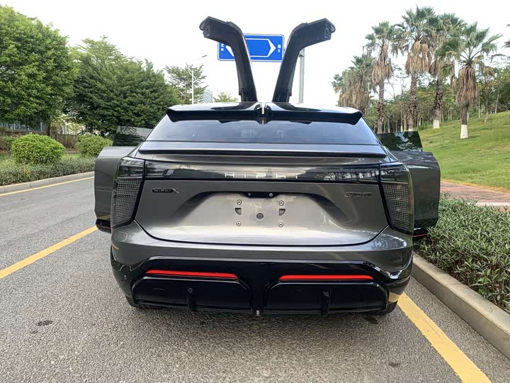 HiPhi X 2021 2021款 豪华版6座