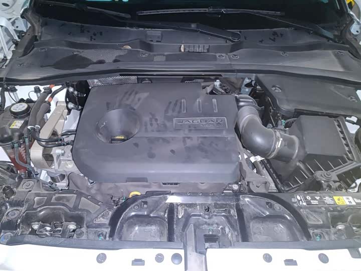 Jaguar E-Pace 2024 2024款 青春运动版 R-DYNAMIC