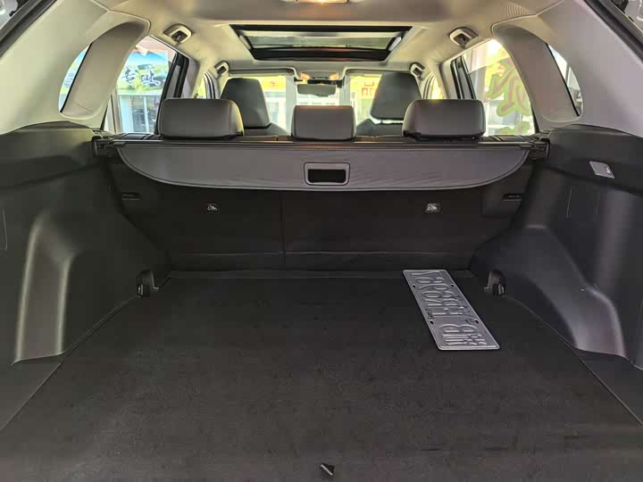 Toyota RAV4 Hybrid 2021 2021款 2.5L 四驱旗舰Pro