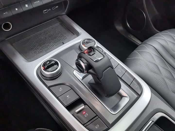 Tank 300 2024 2024款 2.0T 挑战者